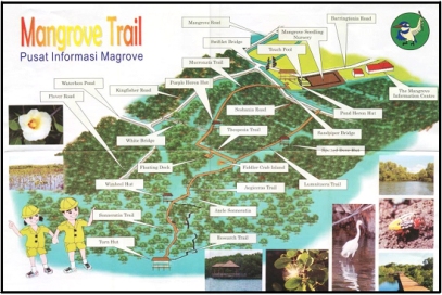 mangrove-trail.jpg